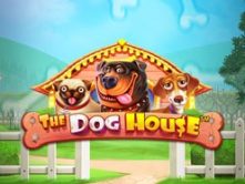 The Dog House (Собачий дом)